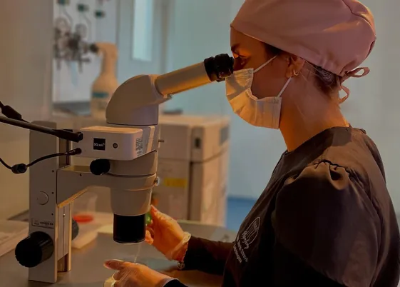 Embriologista observando amostras ao microscópio