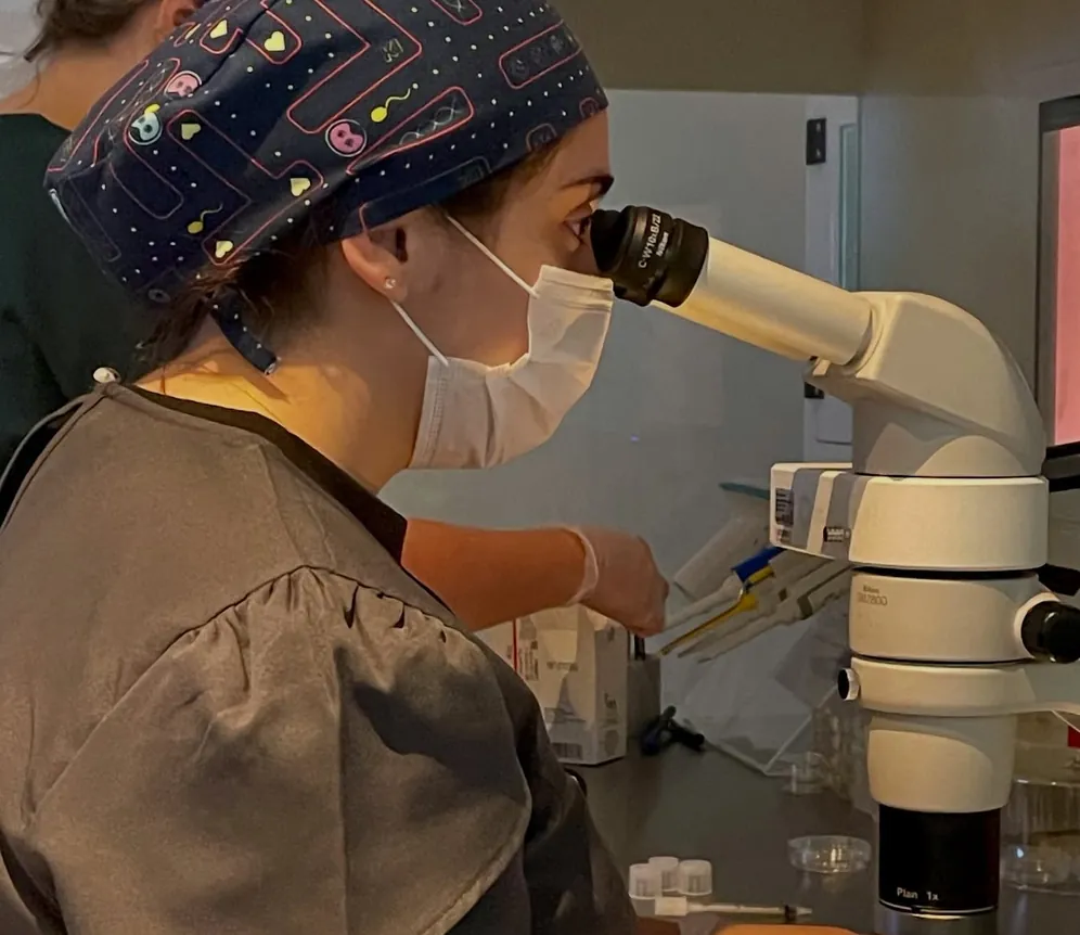 Microinjeção de espermatozoide no óvulo